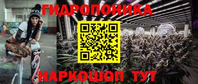 apvp Можга