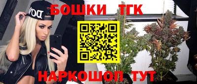 гашик Моздок