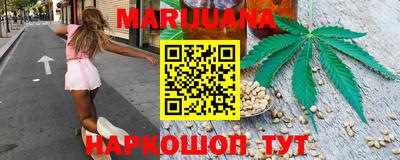 apvp Можга
