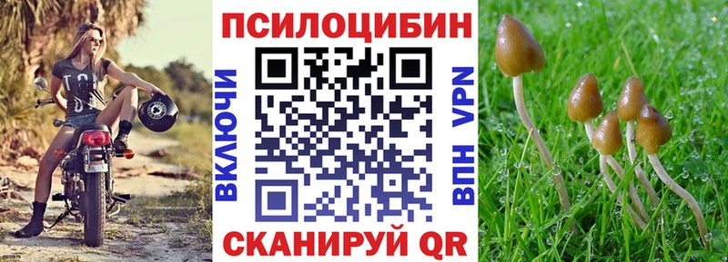 Галлюциногенные грибы прущие грибы Юрга