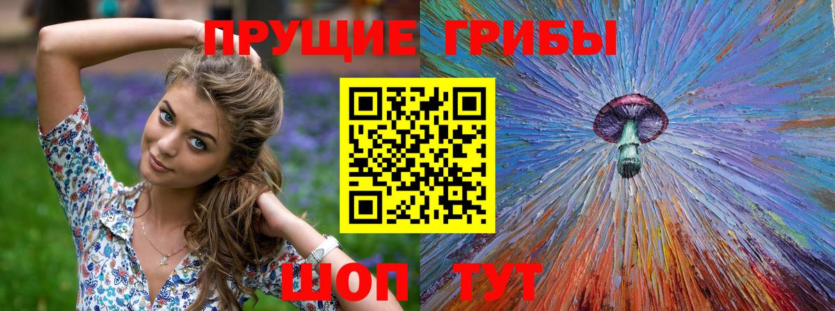 где можно купить   Вход с VPN  Псилоцибиновые грибы мицелий  Юрга  Галлюциногенные грибы мухоморы 
